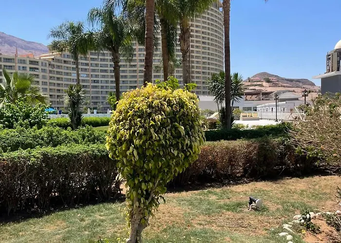 Chalet Porto Sokhna Pyramids For Familis
